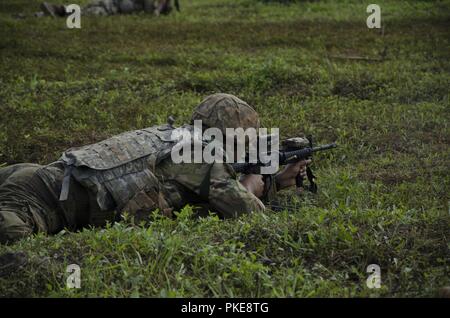 Soldats de la Compagnie Charlie, 100e bataillon du 442e Régiment d'infanterie de l'armée américaine, couvrir leur équipe partenaires pendant un exercice de tir réel, au cours de l'exercice 2018, grève de Keris 24 juillet 2018, Johor Bahru, Malaisie. La Compagnie Charlie a été la mise en œuvre de la formation tactique de jungle au cours d'une série d'exercices de tir réel dans le cadre de l'exercice 2018 Grève Keris. Banque D'Images