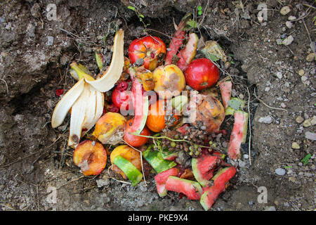 Des déchets ménagers pour le compost des fruits et légumes dans le jardin. Banque D'Images