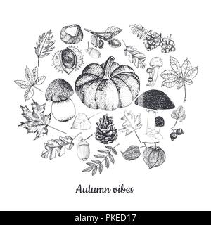 Croquis botaniques automne isolé sur fond blanc. Potiron, champignons, feuilles rouge et or cercle vectoriel. Illustration de Vecteur