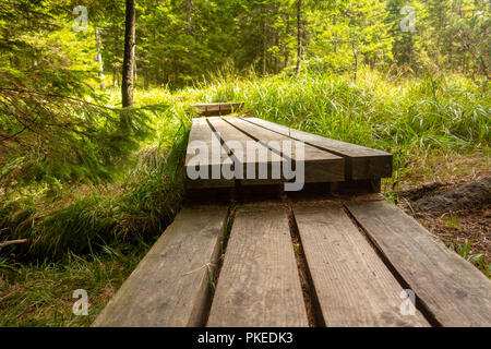 Foothpat en bois, pont, menant à la promenade en forêt, marais, la Slovénie Pohorje Banque D'Images