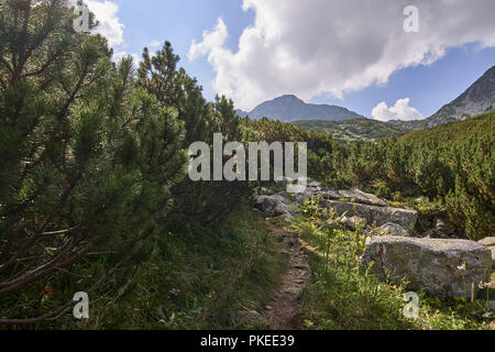 Paysage avec un sentier de randonnée dans les montagnes rocheuses Banque D'Images