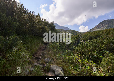 Paysage avec un sentier de randonnée dans les montagnes rocheuses Banque D'Images