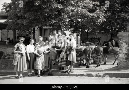 Années 1950, historiques, Cologne, Allemagne, plusieurs femmes et quelques jeunes filles, qui portaient tous des robes pour une photo de groupe à côté de quelques ânes, qui ont des sièges et sont loués pour des tours touristiques. Certaines des filles pourrait être l'échange d'étudiants, ainsi que des Allemands, comme des visites culturelles entre la jeunesse de l'Europe ont été encouragés dans cette après-guerre. Banque D'Images