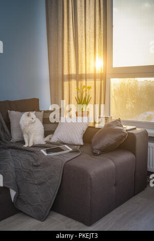 Chambre familiale confortable avec canapé marron, chat blanc et de grandes fenêtres montrant paysage d'hiver sur le coucher du soleil Banque D'Images