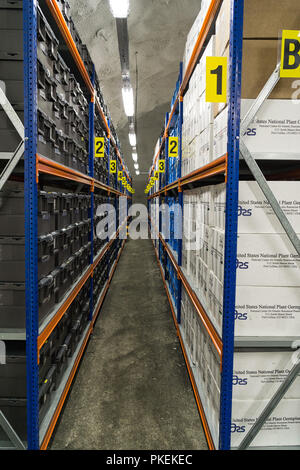 Le Svalbard Global Seed Vault. L'une des trois chambres fortes, qui est en ce moment utilisé..Regalsystem in einer der 3 Lagerhallen. Banque D'Images