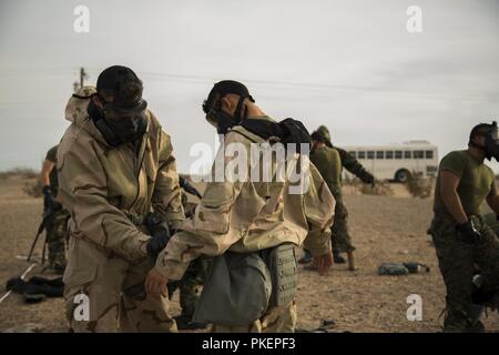 Les Marines américains stationnés au Marine Corps Air Station (MCAS) Yuma, mener leurs armes chimiques, biologiques, radiologiques et nucléaires (CBRN) de la Défense Formation au MCAS Yuma chambre à gaz le 26 juillet 2018. La chambre à gaz est un environnement contrôlé dans lequel un gaz mortel est libéré. Cette forme des Marines d'avoir confiance en leurs engins et se familiariser avec les effets des gaz. Banque D'Images