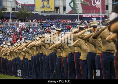 United States Marines rendent un hommage durant l'hymne national au Corps des Marines des États-Unis Journée au Parc Nationaux, Washington, D.C., le 31 juillet 2018. Les Nationals de Washington a accueilli Marines stationnés autour de la région de la capitale nationale pour participer à des événements d'avant-match pour honorer le Corps des Marines. Banque D'Images