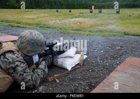 Lance le Cpl. Joel Carrizales, avec la Compagnie Charlie, 1er Bataillon, 25e Régiment de Marines, des zéros dans son fusil à la ligne de 25 verges, Joint Base Elmendorf-Richardson, Anchorage, Alaska, le 1 août, 2018. Super Squad concours ont été conçus pour évaluer un 14-man d'infanterie tout au long d'un vaste domaine et l'évolution de tir réel. Banque D'Images