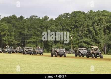 Les véhicules tactiques de l'armée américaine contre le brochet domaine lors de passer en revue sur Fort Bragg, Caroline du Nord, 3 août 2018. La cérémonie à l'honneur, le général Michael Kurilla, le général commandant la division sortant, et s'est félicité le Major Général James Mingus, le nouveau commandant général. Banque D'Images