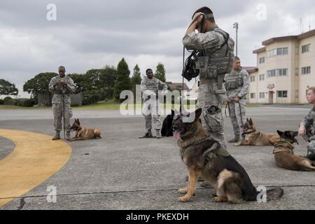 Le s.. Travis Bell, 374e Escadron des Forces de sécurité, conducteur de chien de travail militaire et Benjo, 374 FS, MWD se préparent à bord d'un avion lors d'un 459e Escadron de transport aérien d'hélicoptères UH-1N MWD vol d'initiation le 26 juillet 2018, à Yokota Air Base, le Japon. La formation a été menée afin de familiariser les gestionnaires et leurs du MWD avec le vol en hélicoptère pour les préparer pour les exigences ils seront confrontés à un environnement de déploiement. Banque D'Images