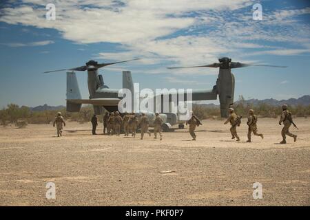 Marines avec 2e Bataillon, 11ème Marines, 1 Division de marines (MARDIV), courir vers une MV-22b Osprey pendant l'exercice Furie d'été, à l'éventail 2057 Sud, Californie, 3 août 2018. L'exercice a été réalisé pour accroître la maîtrise des opérations de 1ère MARDIV en intégrant l'établissement, de la transition et de l'élimination progressive au contrôle des aéronefs et des missiles sur plusieurs endroits. Banque D'Images