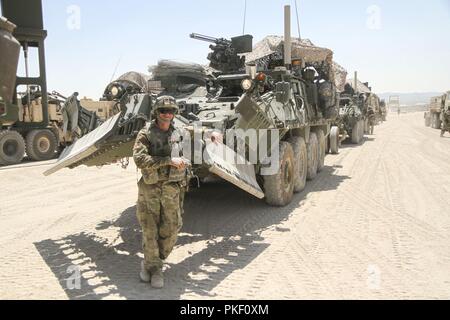 La CPS. Nick Simpson de la Compagnie Alpha, 103e bataillon du génie, 56e brigade Stryker Brigade Combat Team, 28e Division d'infanterie, New Jersey Army National Guard se dresse fièrement devant son Stryker le 4 août avant de partir de l'unité de rotation un bivouac pour commencer la rotation de formation 18-09 au Centre National d'entraînement, Fort Irwin, ca. Simpson est un résident de McKean, Pa. Banque D'Images