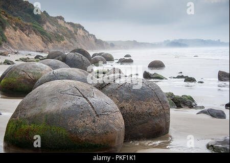 Les Moeraki Boulders sur Koekohe Plage, Otago, Nouvelle-Zélande. Rivage rocheux formations à l'arrière-plan gris ciel nuageux Banque D'Images