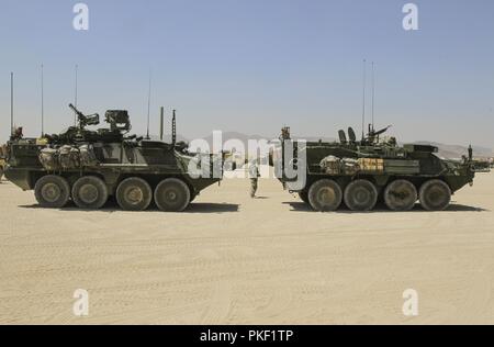 Une paire de Strykers se prépare à quitter les unités de rotation un bivouac le 4 août dans le cadre d'un convoi de véhicules soutenant la 56e Stryker Brigade Combat Team durant leur stage de formation 18-09 au Centre National d'entraînement, Fort Irwin, ca. Banque D'Images