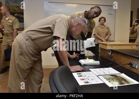 SAN ANTONIO (2 août 2018) Vice-amiral. Forrest Faison, médecin-chef de la Marine et chef de Bureau de la Marine américaine, de la médecine et de la chirurgie, regarde à travers la lentille d'un microscope au cours d'une visite de l'éducation et la formation médicales Campus (CIFM). Cette partie de la visite a été dirigé par hôpital Corpsman 1re classe Craig Humes, instructeur au CIFM. Banque D'Images