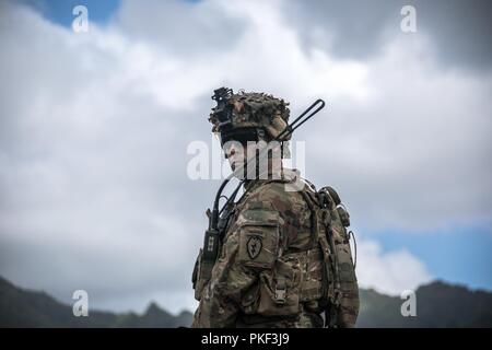 Le Lieutenant-colonel de l'armée américaine Louis Kangas, commandant du bataillon du 1er Bataillon, 27e Régiment d'infanterie 'Wolfhounds', l'équipe de combat de la 2e Brigade d'infanterie, 25e Division d'infanterie, supervise la certification de l'une de ses sociétés durant une exercice de tir réel à Schofield Barracks, Missouri, le 3 août 2018. L'exercice fait partie d'une progression globale de formation afin de maintenir la préparation au combat en préparation d'un Joint Readiness Training Centre rotation plus tard cette année. Banque D'Images