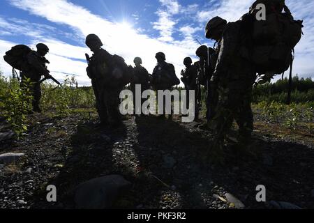 Marines avec la Compagnie Charlie, 1er Bataillon, 23e Régiment de Marines se préparent à naviguer dans le terrain de l'Alaska au cours de la 4ème Division de marines à la compétition annuelle de peloton de Joint Base Elmendorf-Richardson, Anchorage, Alaska, le 3 août 2018. Super Squad concours ont été conçus pour évaluer un 14-man d'infanterie tout au long d'un vaste domaine et l'évolution de tir réel. Banque D'Images