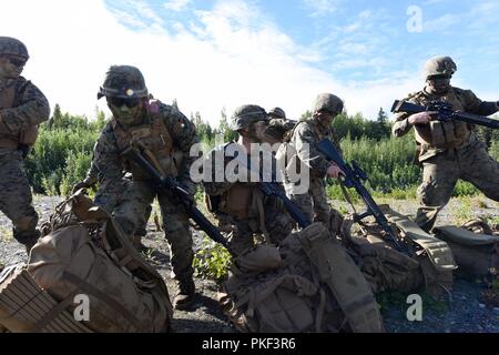 Marines avec la Compagnie Charlie, 1er Bataillon, 24e Régiment de Marines de recueillir leurs engins après débarquant d'un UH-60 Black Hawk au cours de la 4ème Division de marines à la compétition annuelle de peloton de Joint Base Elmendorf-Richardson, Anchorage, Alaska, le 3 août 2018. Super Squad concours ont été conçus pour évaluer un 14-man d'infanterie tout au long d'un vaste domaine et l'évolution de tir réel. Banque D'Images