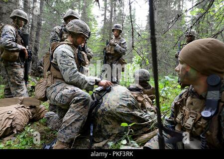 Le Sgt Marin. Ellis avec 3e Bataillon, 23e Régiment de Marines points tracés sur une carte au cours de la 4ème Division de marines à la compétition annuelle de peloton de Joint Base Elmendorf-Richardson, Anchorage, Alaska, le 4 août 2018. Super Squad concours ont été conçus pour évaluer un 14-man d'infanterie tout au long d'un vaste domaine et l'évolution de tir réel. Banque D'Images