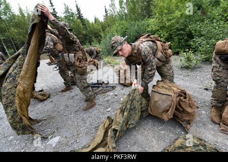 Marines avec la Compagnie Charlie, 1er Bataillon, 23e Régiment de Marines, pack leur matériel après avoir participé à la 4e Division de marines à la compétition annuelle de peloton de Joint Base Elmendorf-Richardson, Anchorage, Alaska, le 5 août 2018. Trois 14-man d'infanterie ont effectué une compétition de 48 heures avec des réserves limitées et des équipements à travers un vaste champ. Banque D'Images