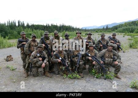 Marines avec la Compagnie Charlie, 1er Bataillon, 23e Régiment de Marines, posent pour une photo de groupe après avoir participé à la 4e Division de marines à la compétition annuelle de peloton de Joint Base Elmendorf-Richardson, Anchorage, Alaska, le 5 août 2018. Trois 14-man d'infanterie ont effectué une compétition de 48 heures avec des réserves limitées et des équipements à travers un vaste champ. Banque D'Images