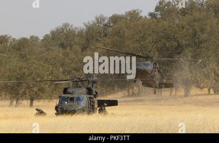 Soldats du 1er Bataillon, 200e Régiment d'infanterie, 41ème Infantry Brigade Combat Team, Nouveau Mexique Garde nationale armée de terre plusieurs hélicoptères UH-60 Black Hawk lors d'air assault entraînement à Fort Hunter Liggett, Californie, le 28 juillet 2018. Cette formation fait partie d'un vaste exercice connu sous le nom d'entraînement au combat exportables (XCTC), un quartier général de brigade terrain conçu pour certifier la compétence de peloton dans toute la brigade en coordination avec l'armée d'abord. Banque D'Images