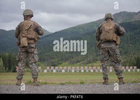 Marines avec la Compagnie Charlie, 1er Bataillon, 23e Régiment de Marines, en compétition dans la 4e Division de marines Concours annuel de peloton, suivre un cours d'incendie au cours de la lutte contre l'adresse au tir d'essai d'Endurance at Joint Base Elmendorf-Richardson, Anchorage, Alaska, le 6 août 2018. Super Squad concours ont été conçus pour évaluer un 14-man d'infanterie tout au long d'un vaste domaine et l'évolution de tir réel. Banque D'Images