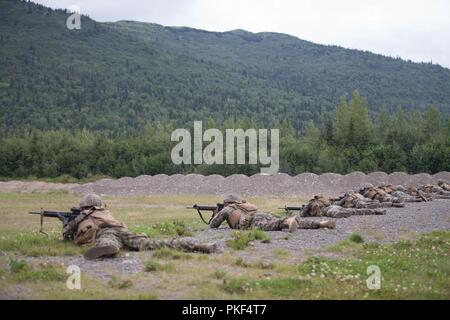 Marines avec la Compagnie Charlie, 1er Bataillon, 23e Régiment de Marines, en compétition dans la 4e Division de marines Concours annuel de peloton, suivre un cours d'incendie au cours de la lutte contre l'adresse au tir d'essai d'Endurance at Joint Base Elmendorf-Richardson, Anchorage, Alaska, le 6 août 2018. Super Squad concours ont été conçus pour évaluer un 14-man d'infanterie tout au long d'un vaste domaine et l'évolution de tir réel. Banque D'Images