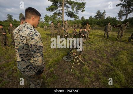 Mortarmen avec 3e Bataillon, 25e Régiment de Marines, rendez-vous sur la mise en place d'un mortier M224 60mm lors de l'exercice Northern Strike au Camp Grayling, Michigan, le 7 août 2018. Northern Strike a pour mission d'exercer des unités participantes de plein-spectre réaliste des capacités grâce à un bon rapport coût-efficacité, la formation dans une forêt mixte de l'environnement adaptable, avec un accent mis sur la coopération conjointe et de la force de la coalition. Banque D'Images