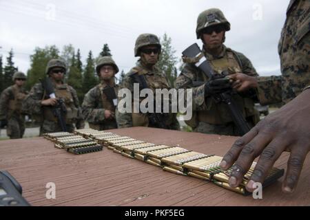 Les Marines américains affectés à la Compagnie Charlie, 1er Bataillon, 23e Régiment de Marines sont émis 5,56 mm ball de munitions et d'un point de distribution avant d'effectuer un tir de tir réel au cours de la 4e Division de marines Super Squad concours tenu à Joint Base Elmendorf-Richardson, Alaska, le 6 août 2018. Au cours de la concurrence de plusieurs jours, d'escouades de 1er et 3e bataillons, 23e Régiment de Marines et 1er Bataillon, 24e Régiment de Marines, exercé leurs compétences techniques et tactiques en participant à des événements qui a mis en évidence des opérations défensives, offensives/techniques de patrouille de combat, marksman Banque D'Images