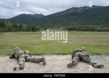 Les Marines américains affectés à la Compagnie Charlie, 1er Bataillon, 23e Régiment de Marines, l'incendie de leurs fusils M16A4 de la ligne 600 au cours de la 4ème Division de marines Super Squad de tir réel de la concurrence l'adresse au tir événement tenu au Joint Base Elmendorf-Richardson, Alaska, le 6 août 2018. Au cours de la concurrence de plusieurs jours, d'escouades de 1er et 3e bataillons, 23e Régiment de Marines et 1er Bataillon, 24e Régiment de Marines, exercé leurs compétences techniques et tactiques en participant à des événements qui a mis en évidence des opérations défensives, offensives/techniques de patrouille, combattre l'adresse au tir, l'endurance physique et SMA Banque D'Images