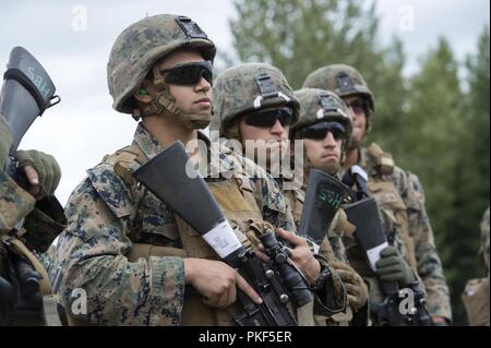 Les Marines américains affectés à la Compagnie Charlie, 1er Bataillon, 23e Régiment de Marines, d'écouter un exposé sur les mesures de sécurité avant d'effectuer un tir de stress de tir réel au cours de la 4e Division de marines Super Squad concours tenu à Joint Base Elmendorf-Richardson, Alaska, le 6 août 2018. Au cours de la concurrence de plusieurs jours, d'escouades de 1er et 3e bataillons, 23e Régiment de Marines et 1er Bataillon, 24e Régiment de Marines, exercé leurs compétences techniques et tactiques en participant à des événements qui a mis en évidence des opérations défensives, offensives/techniques de patrouille, combattre l'adresse au tir, l'endurance physique et sm Banque D'Images