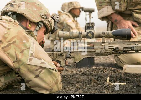 Les fantassins de la Garde nationale de Californie effectuer une analyse du stress à l'aide du M2010 Système d'arme de sniper sniper pour former, dans le cadre de leur formation annuelle, le 30 juillet 2018, la zone d'entraînement Pohakuloa, Hilo, Hawaii. Les gardes sont affectés aux 1er Bataillon-160e Régiment d'infanterie, 79e Brigade d'infanterie, l'équipe de combat de la 40e Division d'infanterie basée à Inglewood, Californie. Banque D'Images