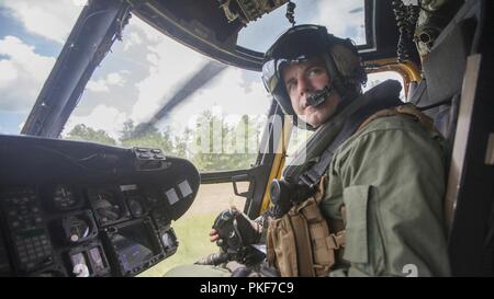 Le Lieutenant-colonel des marines américain Brian T. Laurence, un pilote d'hélicoptères lourds Marine (HMH) de l'Escadron 461, vole un CH-53E Super Stallion Raven pendant 18-06, Gulfport, Mississippi, le 5 août 2018. Raven est un exercice d'entraînement militaire réaliste, dans lequel HMH-461 fournit le soutien aérien des Forces armées, Marine Corps Special Operations Command. Cet exercice permet à l'escadron pour mener la mission de base et la formation de compétences pour améliorer la préparation au combat de l'escadron au sein du Groupe de travail air-sol marin. Le CH-53E Super Etalons et l'équipage sont affectés à HMH-461, Marine Aircraft Group 29, 2nd Marine Aircraft Wing. Banque D'Images