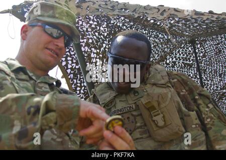 Le colonel de l'armée américaine Donald R. Baker, haut responsable de l'armée / Attaché à la défense des États-Unis à Budapest donne sa pièce de commande du personnel de l'armée américaine le Sgt. Kendall Herrington, le maître canonnier de troupes et les hauts du scoutisme avec Comanche Troop, 1er Escadron, 7e régiment de cavalerie, 1st Armored Brigade Combat Team, 1re Division de cavalerie, au cours d'une journée de formation à l'unité d'observation de la zone centrale de formation à Várpalota, Hongrie, 3 août 2018. Troupe Comanche a invité l'Ambassadeur des États-Unis à la Hongrie David B. Cornstein, les maires des villes voisines de la zone d'entraînement, des soldats hongrois et hongrois local multimédia pour afficher stat Banque D'Images