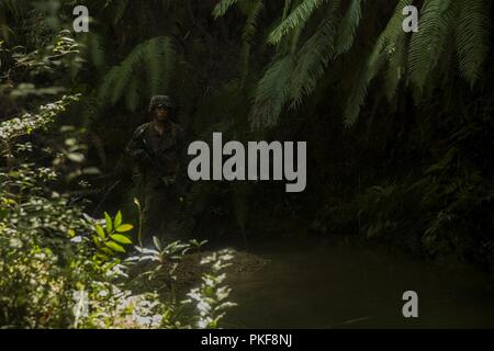 Lance le Cpl. Dylan Waller, un carabinier avec Echo, l'entreprise Équipe de débarquement du bataillon, 2e Bataillon, 5ème Marines, manoeuvres dans la jungle pendant un cours de navigation terrestre au Jungle Warfare Training Center, Camp Gonsalves, Okinawa, Japon, Juillet 30, 2018. Waller, originaire de San Antonio, Texas, a fait appel à partir de la sous-station de recrutement San Antonio avant de partir pour la formation de base en novembre 2015. Les marines formés à se préparer à une ETFC patrouille à venir de la région indo-pacifique comme l'élément de combat terrestre pour la 31e Marine Expeditionary Unit. La 31e MEU, le Marine Corps' seulement continuellement Banque D'Images