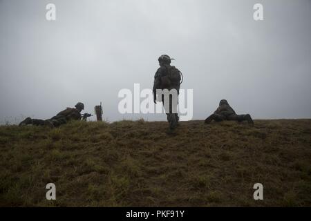 Les Marines américains avec le 3e Bataillon, Régiment de Marines 3d observer le champ de tir au cours de l'effort à l'Ulupau J'Bougainville Centre de formation sur l'Aire Marine Corps Base New York, Aug 9, 2018. Je Bougainville est la première phase du cycle de formation de pré-déploiement pour le bataillon et est un exercice axé sur le renforcement des compétences d'petit-unité d'augmenter la compétence en combat. Banque D'Images