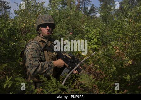 Lance le Cpl. Adam Wood, chef d'équipe à la Compagnie India, 3e Bataillon, 25e Régiment de Marines, assurer la sécurité comme les sapeurs de combat franchir un obstacle lors d'une gamme de tir réel au Camp Grayling, Michigan, le 7 août 2018. L'exercice Northern Strike est un bureau de la Garde nationale de formation parrainée par l'exercice qui unit les membres en service de plusieurs branches, membres et pays de la coalition à mener des opérations de combat terrestre et aérien. Banque D'Images