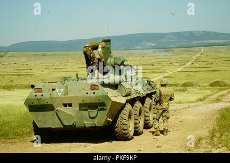 Les Comanches, 1er Escadron, 7e régiment de cavalerie, 1st Armored Brigade Combat Team, 1re Division de cavalerie qualifié en simulateurs d'avec 11 des 14 équipes, Bradley distingué 3 sur 5 équipages distingué. La pratique pour le contrôle des différentes plates-formes et des soldats de la Hongrie et les Etats-Unis ont été mis au point et affinés à l'exécution d'un grand événement. Banque D'Images