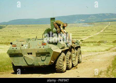 Les Comanches, 1er Escadron, 7e régiment de cavalerie, 1st Armored Brigade Combat Team, 1re Division de cavalerie qualifié en simulateurs d'avec 11 des 14 équipes, Bradley distingué 3 sur 5 équipages distingué. La pratique pour le contrôle des différentes plates-formes et des soldats de la Hongrie et les Etats-Unis ont été mis au point et affinés à l'exécution d'un grand événement. Banque D'Images