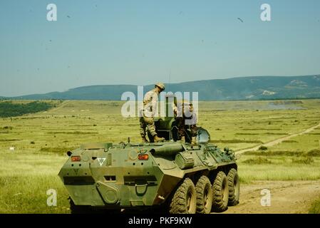 Les Comanches, 1er Escadron, 7e régiment de cavalerie, 1st Armored Brigade Combat Team, 1re Division de cavalerie qualifié en simulateurs d'avec 11 des 14 équipes, Bradley distingué 3 sur 5 équipages distingué. La pratique pour le contrôle des différentes plates-formes et des soldats de la Hongrie et les Etats-Unis ont été mis au point et affinés à l'exécution d'un grand événement. Banque D'Images