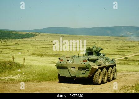 Les Comanches, 1er Escadron, 7e régiment de cavalerie, 1st Armored Brigade Combat Team, 1re Division de cavalerie qualifié en simulateurs d'avec 11 des 14 équipes, Bradley distingué 3 sur 5 équipages distingué. La pratique pour le contrôle des différentes plates-formes et des soldats de la Hongrie et les Etats-Unis ont été mis au point et affinés à l'exécution d'un grand événement. Banque D'Images