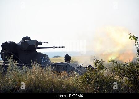 Les Comanches, 1er Escadron, 7e régiment de cavalerie, 1st Armored Brigade Combat Team, 1re Division de cavalerie qualifié en simulateurs d'avec 11 des 14 équipes, Bradley distingué 3 sur 5 équipages distingué. La pratique pour le contrôle des différentes plates-formes et des soldats de la Hongrie et les Etats-Unis ont été mis au point et affinés à l'exécution d'un grand événement. Banque D'Images