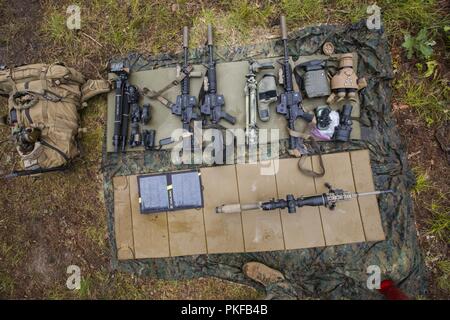 Snipers Scout avec 3e Bataillon, 25e Régiment de Marines, inspecter leur équipement avant de pratiquer des exercices de patrouille pendant l'exercice Northern Strike au Camp Grayling, Michigan, le 11 août, 2018. Camp de l'Arctique, le plus grand centre de la Garde nationale dans le pays couvrant 147 000 hectares, offre de nombreuses grosses pièces d'artillerie, de mortiers, de chars et les cours de manœuvre. Banque D'Images