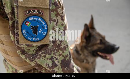 L'escadre aérienne de Kaboul, Afghanistan (9 août 2018) les chiens de travail militaire sont une nouvelle capacité pour l'Afghan Air Force le 9 août 2018, l'Escadre aérienne de Kaboul, Afghanistan. Ces chiens très bien formés sont utilisés pour assurer la sécurité et pour le peuple afghan secruity Base Aérienne. Banque D'Images