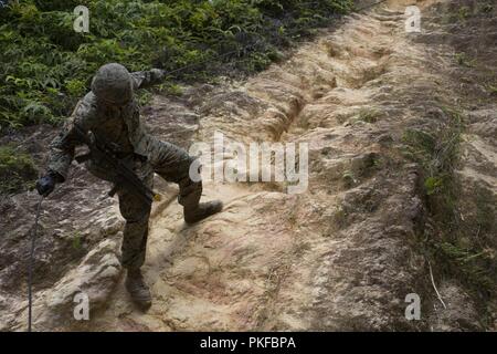 Lance le Cpl. Diego Martinez pratiques un rappel rapide à la Jungle Warfare Training Center au Camp Gonsalves, Okinawa, Japon, le 7 août 2018. Marines pratique différents types de rappel pour obtenir sur les différents obstacles dans la jungle du terrain. Martinez est un chef d'équipe avec la Compagnie Bravo, bataillon de reconnaissance blindé léger, 4e Régiment de Marines, 3e Division de marines. Banque D'Images