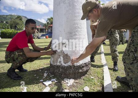 PORT OF SPAIN, Trinité-et-Tobago (16 août 2000 10, 2018) Le lieutenant Nathan Rice, aumônier à bord de la station d'Island-Class Whidbey landing ship USS Gunston Hall (LSD 44), et un membre du service de la Trinité-et-Tobago Regiment de peinture lors d'une relation communautaire événement à un cimetière militaire à Port of Spain, Trinité-et-Tobago. Le navire est en déploiement des Mers du Sud, qui est un déploiement de collaboration annuel dans le U.S. Southern Command zone de responsabilité où un groupe se déployer pour effectuer une variété d'exercices et d'échanges pour améliorer l'interopérabilité multinationale, région augmenter Banque D'Images