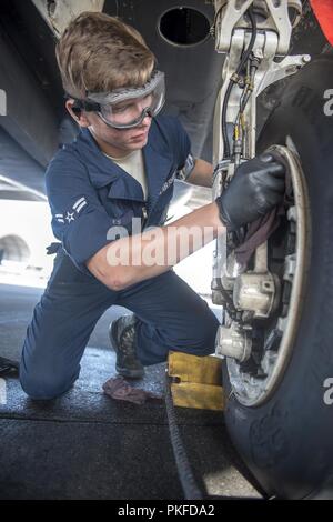 Navigant de première classe Curtis Jones, 334e Unité de maintenance d'aéronefs, nettoie le pneu d'un F-15E Strike Eagle 1 août 2018, à Seymour Johnson Air Force Base, la Caroline du Nord. Jones est l'un des plus de 10 aviateurs en ce moment parrainé par une famille locale dans le cadre de la Seymour Johnson Air Force Base aérienne du Programme de commandites, qui est conçu pour fournir un moyen d'aviateurs former de nouvelles amitiés dans la communauté locale et d'obtenir du soutien au-delà de l'environnement de travail formel. Banque D'Images