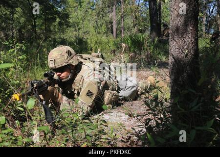 Un soldat d'un Co, 3e Bataillon, 15e Régiment d'infanterie, 2ème Armored Brigade Combat Team numérise son secteur de feu alors qu'un membre de son squad avance vers leur objectif, le 8 août, à Fort Stewart, Ga. Banque D'Images