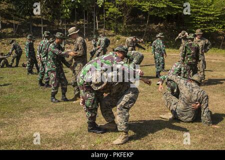 Les Marines américains avec la compagnie Kilo, 3e Bataillon, 3e Marines mener l'évacuation médicale formation avec des marines de l'Indonésie au cours de l'échange de peloton KORMAR à Antralina 2018 Domaine de formation, l'Indonésie, le 10 août. En 2018. Le programme d'échanges militaires entre l'Indonésie et des États-Unis consiste à chaque pays l'envoi d'un peloton de Marines pour vivre et apprendre ensemble à la base militaire de l'autre. Ce programme améliore la capacité des deux services et affiche leur engagement à partager l'information et accroître la capacité de réagir aux crises ensemble. Banque D'Images